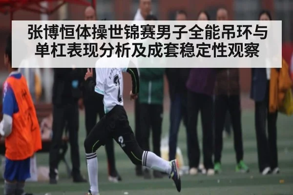 张博恒体操世锦赛男子全能吊环与单杠表现分析及成套稳定性观察